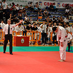 foto gallery